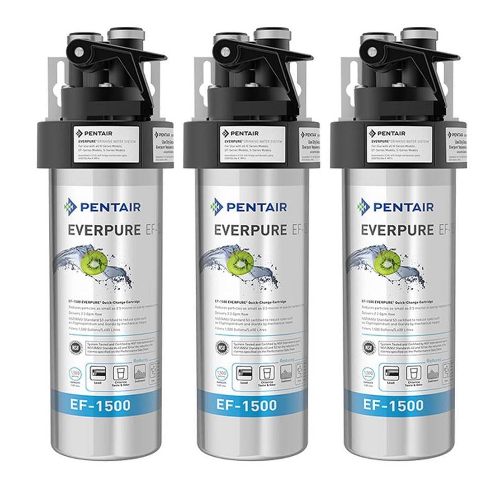 Everpure Full Flow Under Sink Filter Cartridge Water Treatment System