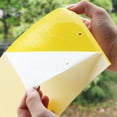 thumbnail image 5 of Sticky Fruit Fly Traps for Indoor and Outdoor, 10-Pack Double-Sided Yellow Glue Traps for Gnats, Whiteflies, Aphids, and Leaf Miners, Non-Toxic Insect Catcher for Houseplants, Garden, and Greenhouse, 5 of 7