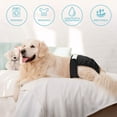thumbnail image 4 of Lot de 3 Couches Lavables Réutilisables pour Chien, Pantalon Physiologique pour Chien Très Absorbant, 4 of 9