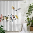thumbnail image 2 of Xipuska Birds Shower Curtain - Water Repellent Fabric Shower Curtains Washable, Bird Vintage Watercolor Decorative Polyester Cloth Bathroom Curtains Modern Bath Decor 66"x72", 2 of 6