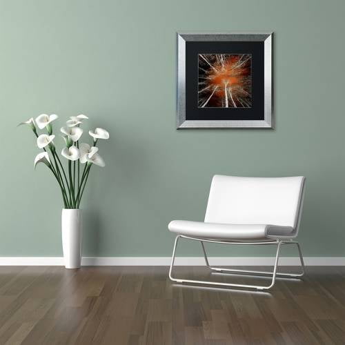 Trademark Fine Art "Something Growing In Me" Canvas Art by Philippe Sainte-Laudy Black Matte, Silver Frame