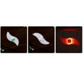thumbnail image 3 of Bangcool Bike Spoke Light S-Shaped Bicycle Wheel Light Bike Flash Lamp for Cycling, 3 of 7