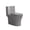 LIGHT GREY, variant on Dual-Flush One Piece Toilet,1.1/1.60 GPF Water-Saving Elongated Comfort Height Floor Mounted Toilet,Soft Closing Seat,LIGHT GREY