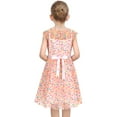 thumbnail image 5 of Girls Dress Pink Rainbow Polka Dot Pleated Tulle Party Gown Sleeveless 12 Years, 5 of 7