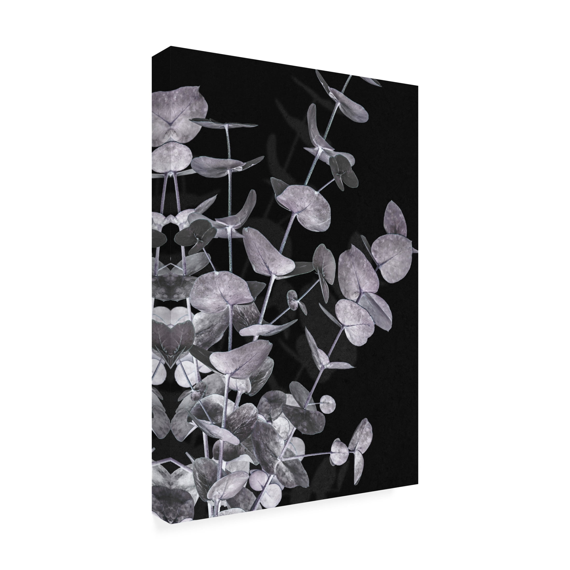 Pictufy Studio III 'Eucalyptus Negative 3' Canvas Art - 12 x 19 Inches