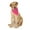 Hot Pink, variant on 5-Pack Paisley Cotton Dog Scarf Triangle Bibs - XL & Washable (Red)