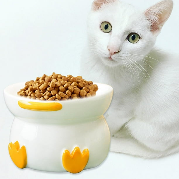 Dog food holder hot sale walmart