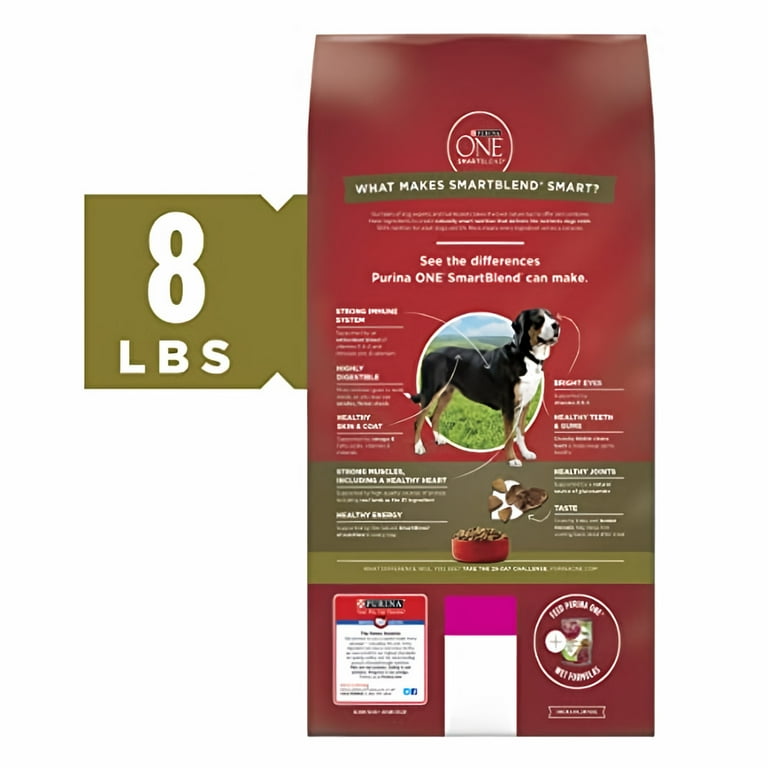 best self cleaning cat litter box for multiple cats KITPLUS Self Cleaning Litter Box, Automatic Cat Litter Box with APP Co   Dog Pawshop