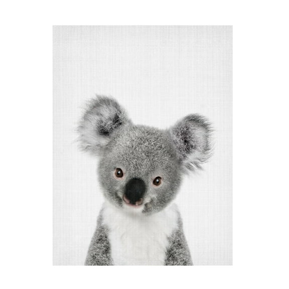 Trademark Fine Art Lola Peacock Peekaboo Baby Koala Canvas Wall Art