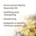 thumbnail image 3 of Plant Therapy Essential Oils Lemon Myrtle 100 mL (3.3 oz) 100% Pure, Undiluted, 3 of 5