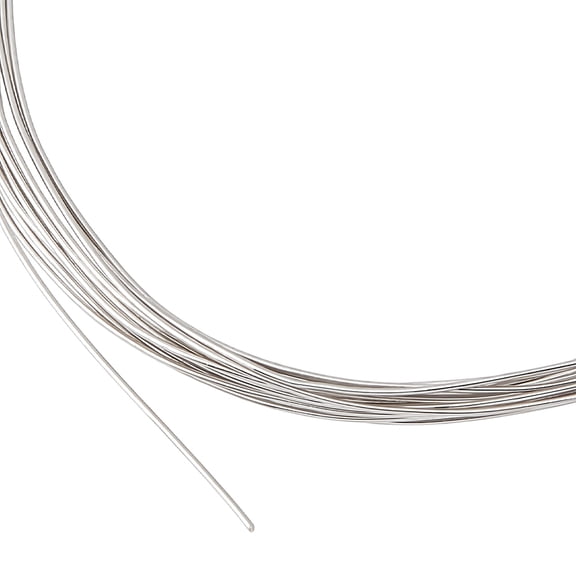1 Roll 925 Sterling Silver Wire Round Half Hard Platinum 0.3mm about 6.56 Feet(2m)/roll