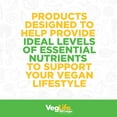 thumbnail image 5 of VegLife Vegan Vitamin C 1000mg, Non GMO | From Tapioca | W/ Acerola & Rose Hips | Immune Support | 90 VegCaps, 5 of 6