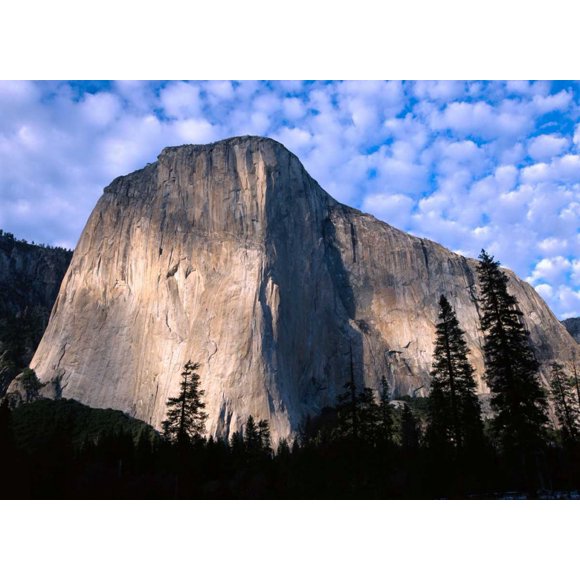 El Capitan rising over the forest, Yosemite National Park, California Poster Print by Tim Fitzharris (9 x 12)