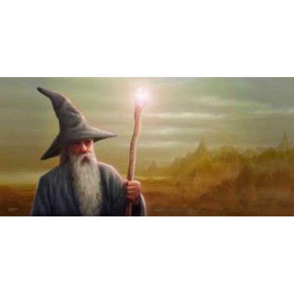 The Wizard Canvas Art - Jose Luis Martin (10 x 20)