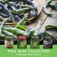 thumbnail image 3 of Pole Bean Seeds 4 Pack - Heirloom Full Sun Annual Vegetables, 3 of 8