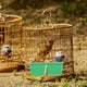 thumbnail image 4 of 15 unids Jaula de aves conjuntos de pájaros Parrot Alimentador Parrot Parrot Parrot Alimentación Cuenco, 4 of 7