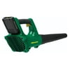Weed Eater WE20VB 20V Electric Battery Powered 265 CFM Handheld Leaf Blower