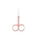 thumbnail image 1 of Seitruly Pinza para cutículas de uñas, tijeras de acero inoxidable, galvanoplastia resistente al desgaste, pintura en aerosol para el hogar, RoseGold Type1 NO1 Seitruly CBP288373, 1 of 6