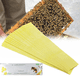 thumbnail image 1 of 80 Uds tiras de fluvalinato ácaro de abeja Varroa Killer medicina de apicultura, 1 of 4