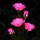 thumbnail image 3 of Luces De Jardín De Flores De Rosas Vibrantes Columpio De Ahorro De Energía Decoración De Paisaje Vívido Luz LED Solar para Césped De Jardín Al Aire Libre para Uso Doméstico-Rosa, 3 of 5