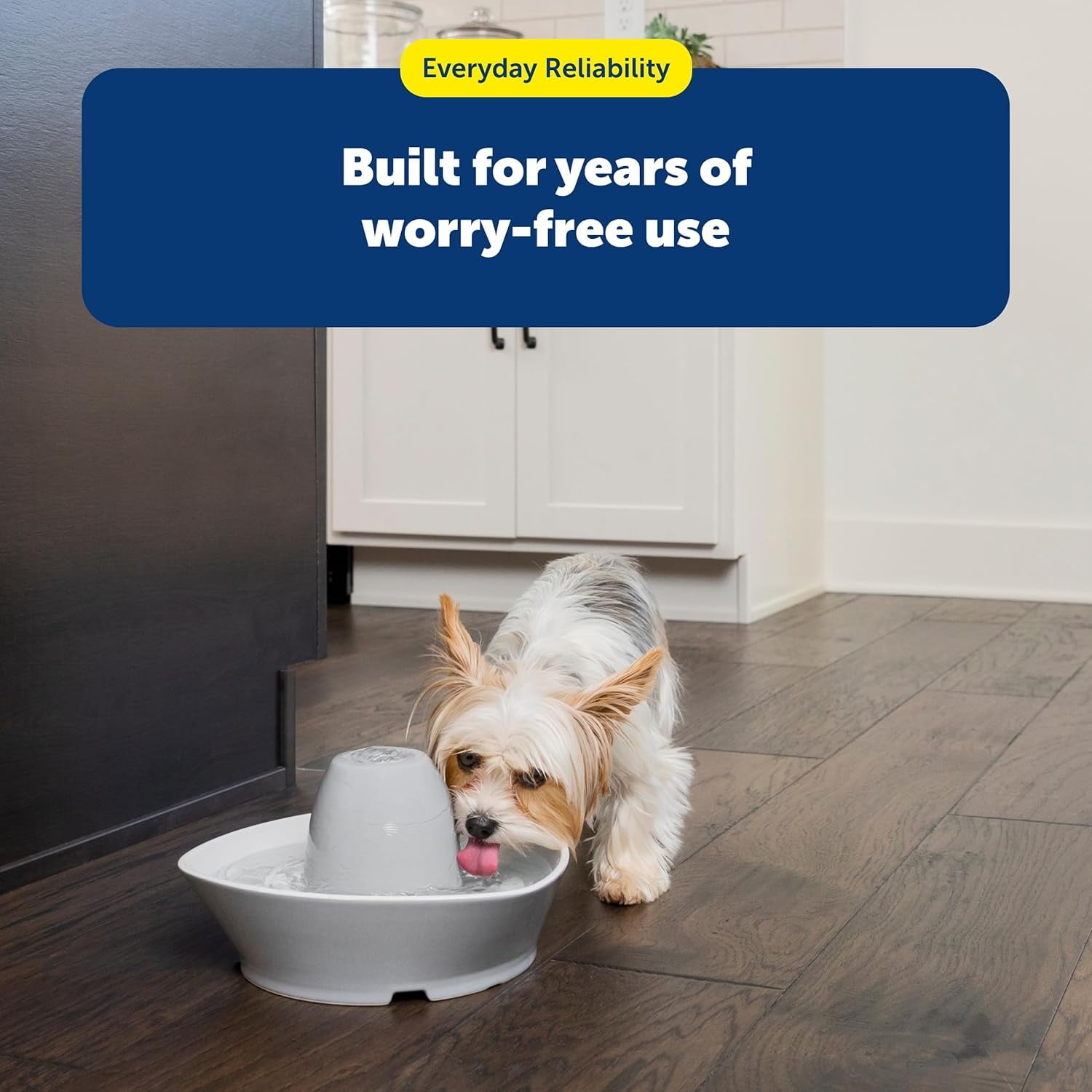 Ceramic Pet Fountain – for Cats and Small Dogs – 60 Oz Water Capacity – Whisper-Quiet Water Flow – Great for Shy or Timid Pets – Fresh, Filtered Water