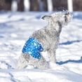 thumbnail image 2 of Pañales CuteBone Christmas para perros machos, grandes, DM34L, 2 of 9