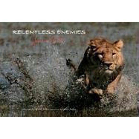 Relentless Enemies : Lions and Buffalo 9781426200045 Used / Pre-owned