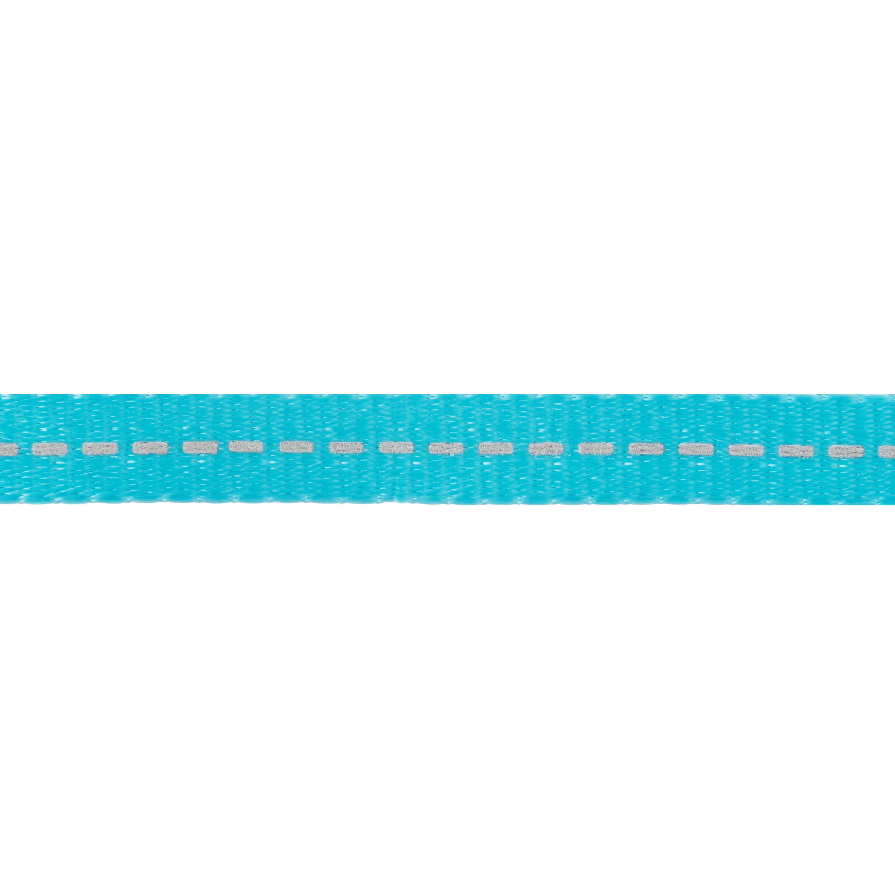 Vibrant Life Solid Nylon Dog Leash, Teal, Small, 5-ft, 3/8-in
