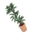 thumbnail image 3 of Mini Plante de Simulation de Maison Mini Plante en Pot Modèle Miniature Ornement de Verdure, 3 of 7