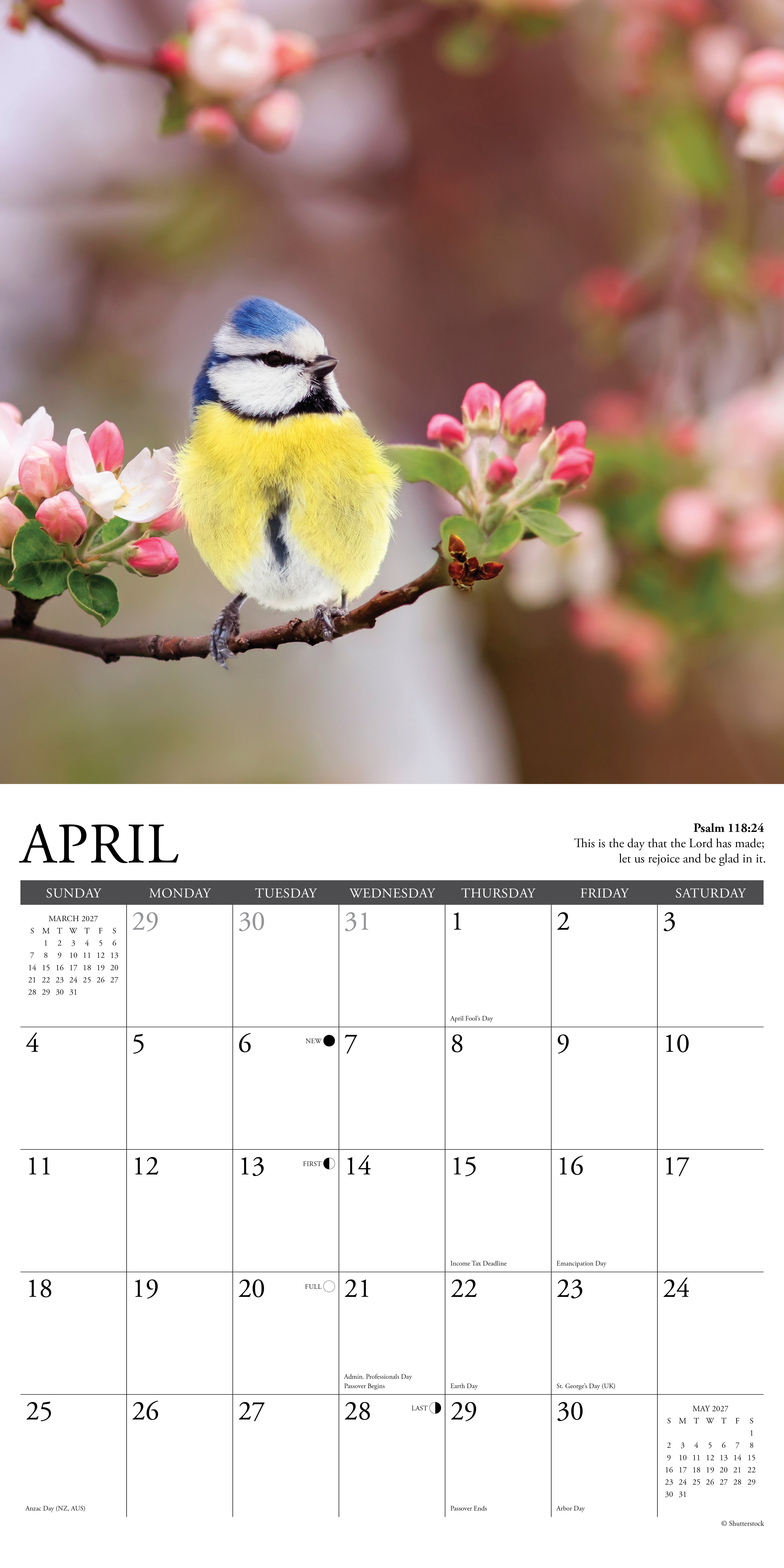 Willow Creek Press, Psalms 2027 Wall Calendar