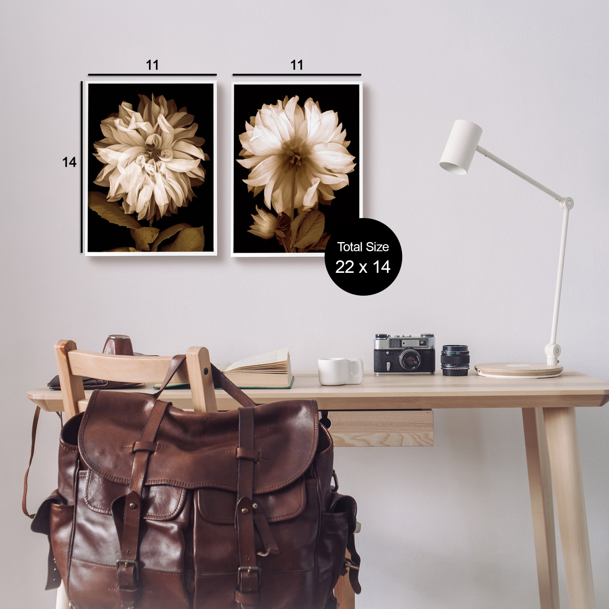 Stupell Sepia Chrysanthemum Flower Blooms Botanical & Floral Photography White Framed Art Print Wall Art, Set of 2