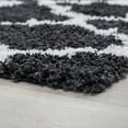 thumbnail image 5 of Transitional 9x12 Area Rug Shag Thick (8'9'' x 12'2'') Geometric Dark Gray, White Living Room Easy to Clean, 5 of 9