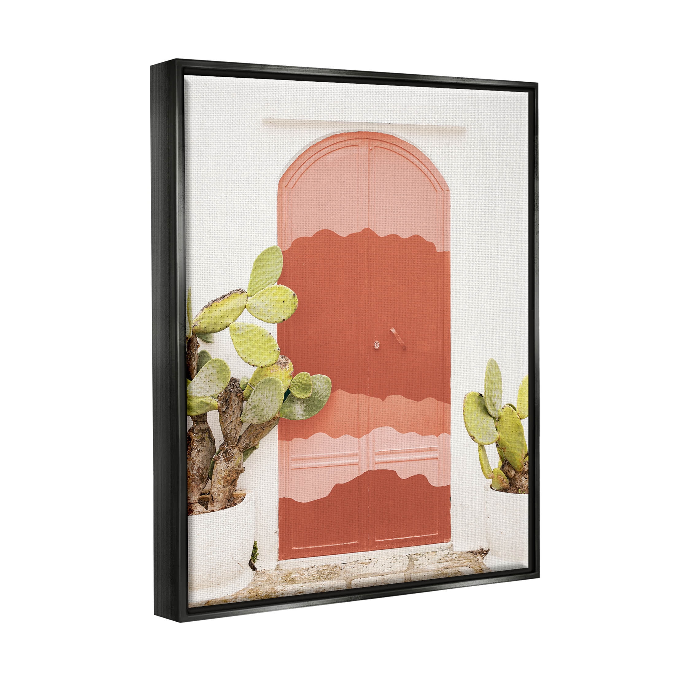 Contemporary Desert Doorway Cactus Botanical & Floral Photograph Jet Black Framed Art Print Wall Art