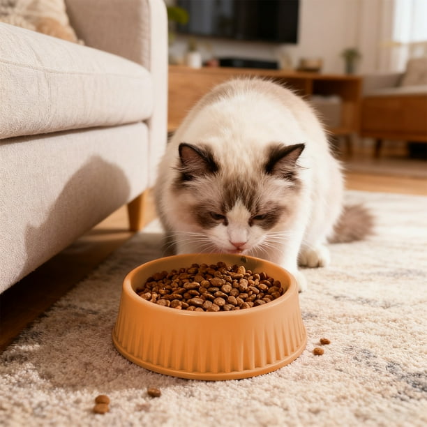 RKSTN Cat Bowls Round Plastic Pet Bowl, Plastic Pet Eating Bowl, Easy to Clean Cat Dog Eating Bowl Orange