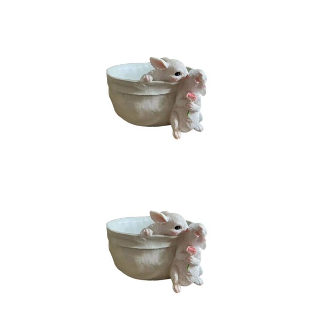 Toystoory Macetas de dibujos animados en forma de animales de resina, macetas duraderas para jardines, maceta de conejito de belleza, Type2 NO2