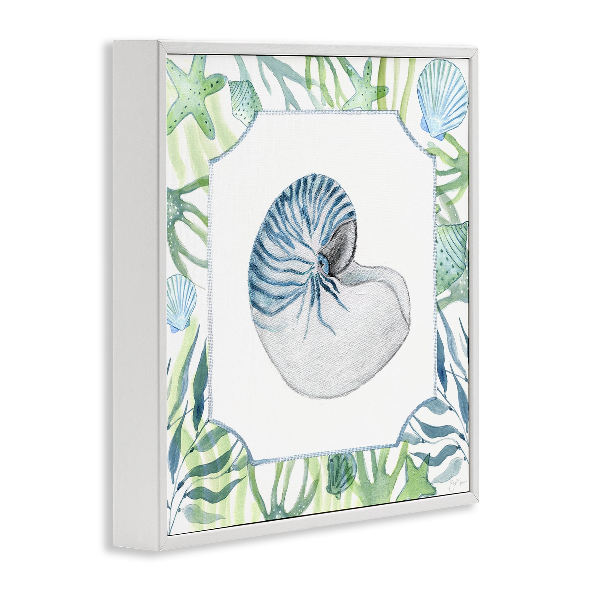Stupell Industries Seaweed & Seashells Aquatic White Framed Giclee Art, design by Janet Tava