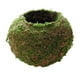 thumbnail image 1 of Bola de plantación de interior / exterior 18 cm Gloria Moss Ball Flower Pot, 1 of 9
