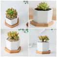 thumbnail image 6 of Raindrops 4Set Simple Design White Flower Pots for Indoor Users Garden Decoration Ceramic Flower Pot, 6 of 8