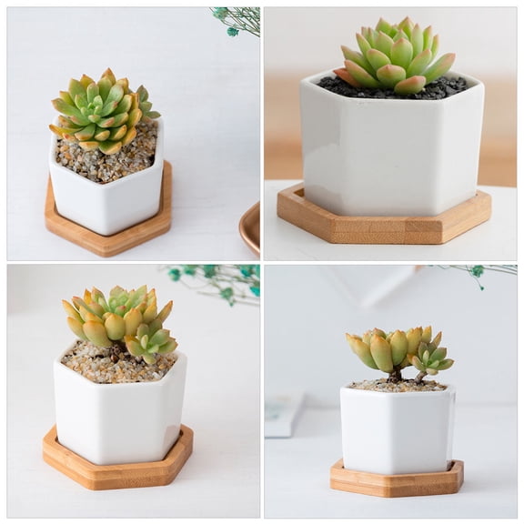 FUEENIRVA 4Sets Ceramic White Hexagon Succulent Plant Pot with Tray for Desk Decoration