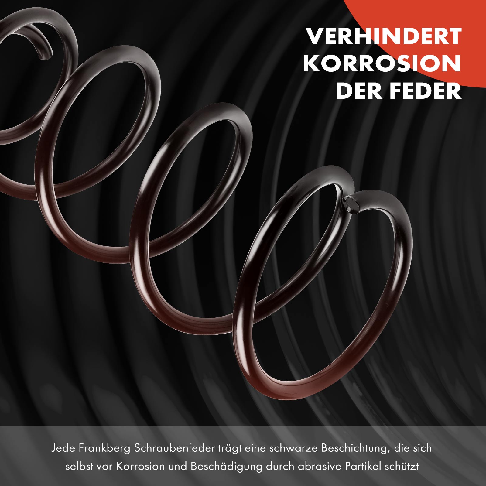 Pair Front Coil Springs For BMW E60 E61 525xi 530xi (2006-2007) – Driver & Passenger