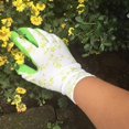 thumbnail image 4 of Latex Gardening Gloves with Non-Slip, Wear-Resistant Feature for Home Gardens, Farm Operations and Outdoor Activities, 4 of 9