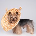 thumbnail image 1 of Flmtop Pets Circle Sunflower Design Anti-licking Polyester Protective Cats Collar for Kitten, 1 of 9