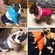 thumbnail image 4 of Abrigo de invierno para perros Abrigo de invierno Abrigo impermeable cálido para perros Chaqueta de plumón Ropa impermeable para perros pequeños Medianos Grandes Perros Gatos, M, 4 of 5
