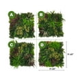 thumbnail image 2 of Living Wall Panels - Indoor Outdoor Decor - Island Interiors - Set of 4 - Versatile Wall Decor, 2 of 6