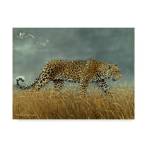 Trademark Fine Art 'Leopard Walking' Canvas Art by Harro Maass
