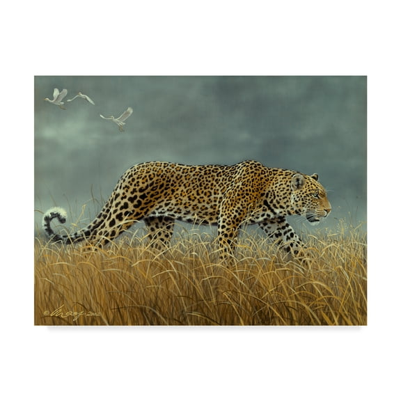 Trademark Fine Art 'Leopard Walking' Canvas Art by Harro Maass