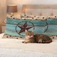 thumbnail image 3 of Western Texas Star Pillow Covers 2 Pack Retro Turquoise Wooden Rustic Farmhouse Pillowcase Waterproof Outdoor Throw Pillow Cover for Patio Balcony Rectangular Cushion 20”x12”, 3 of 9