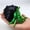 Black Green, variant on 3D Printed Hermit Crab Jointed Model Polyarticular Articulated Hermit Crab Decor Removable Mini Hermit Crab Decor Kids Gifts