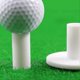 thumbnail image 4 of Premium Rubber Golf Tees 5 Pack (mixed Pack) - Pw, 4 of 5