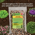 thumbnail image 5 of PREMIUM 10-10-10 All-Purpose Soil Fertilizer by Gardenera - Ideal for Flowers, Plants, Vegetables, Fruit Trees and Lawns - 1 Quart, 5 of 10